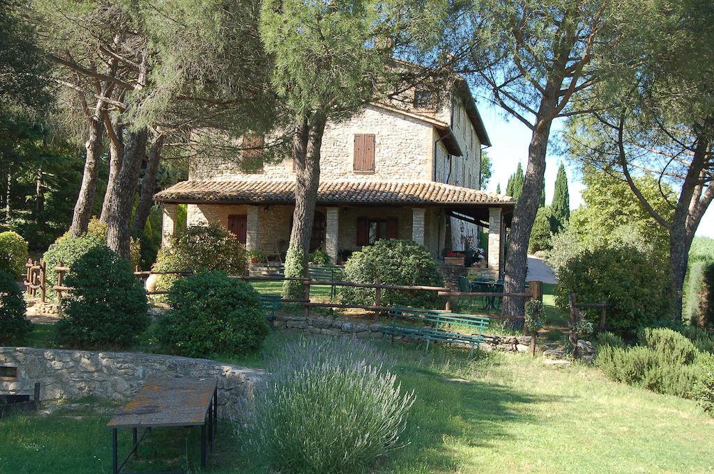 Farm stay Agriturismo Casale Dei Frontini