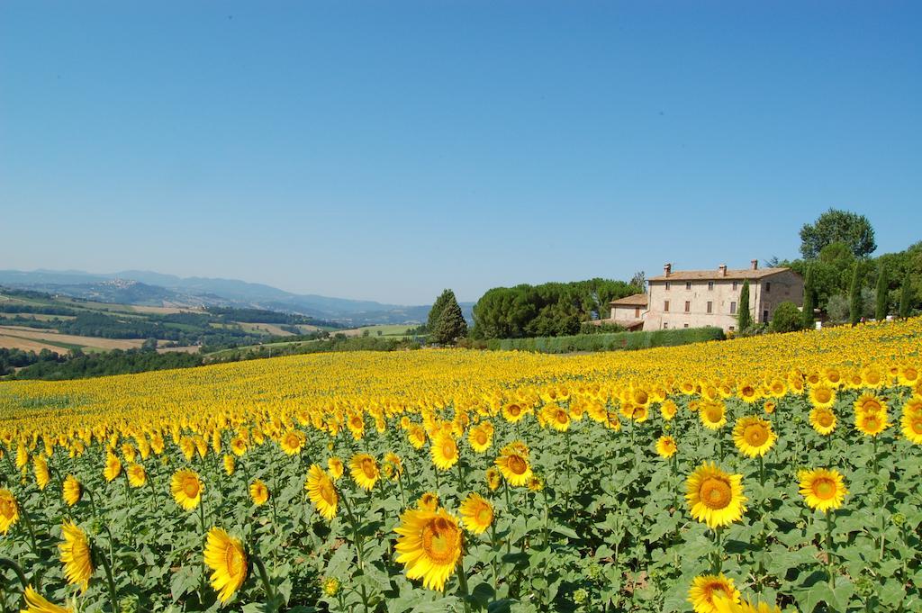 Agriturismo Casale Dei Frontini * San Terenziano