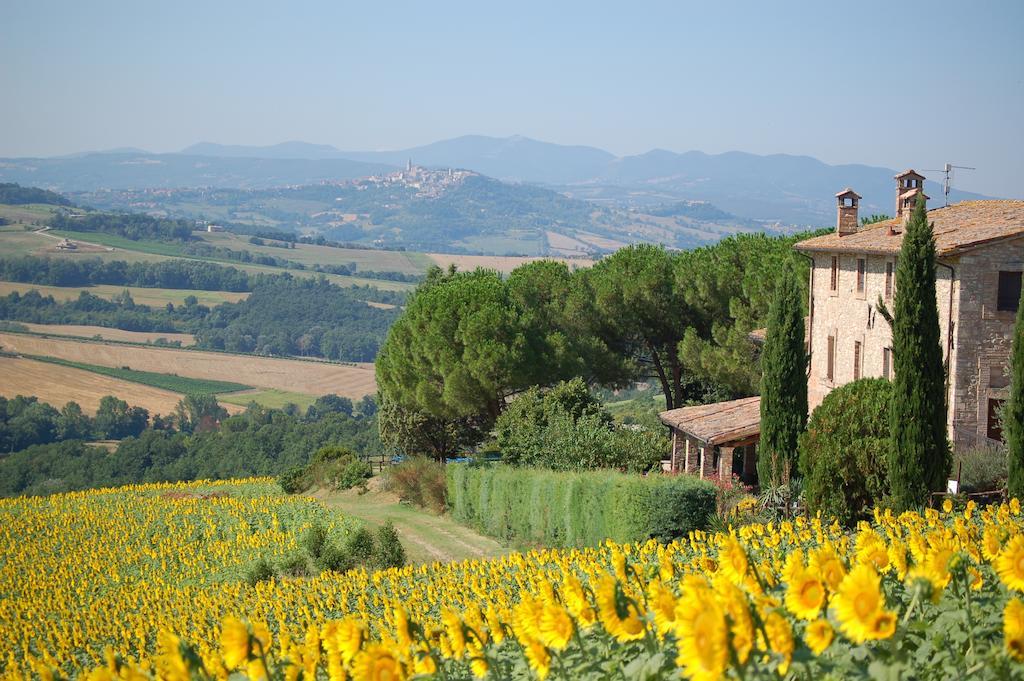 Agriturismo Casale Dei Frontini Farm stay
