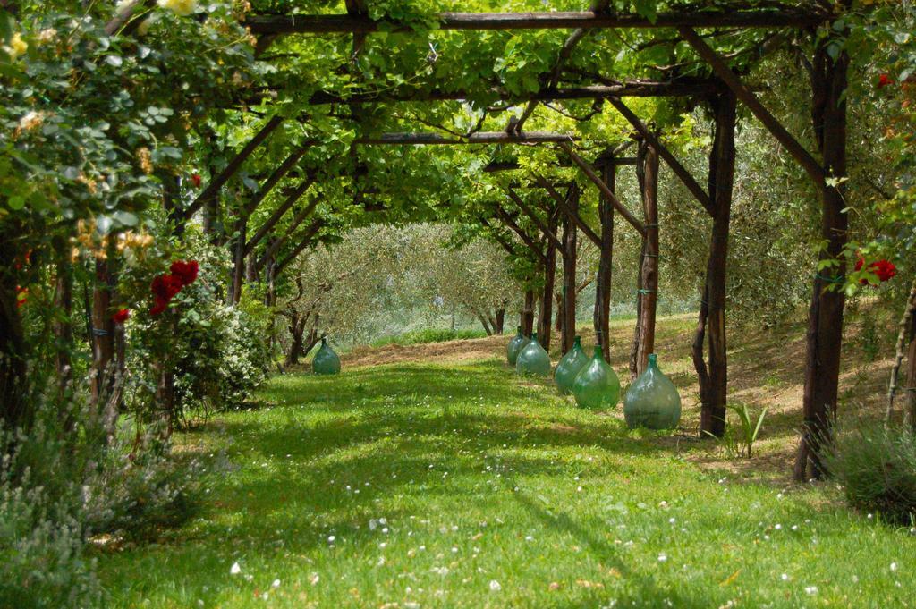 Agriturismo Casale Dei Frontini San Terenziano