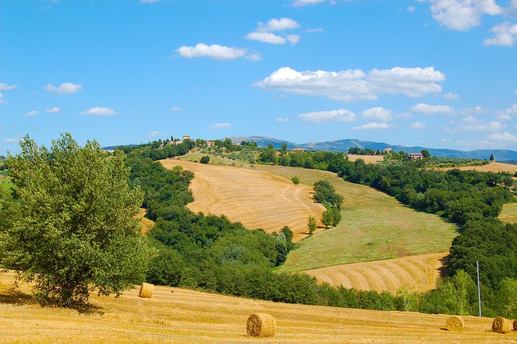 Agriturismo Casale Dei Frontini Farm stay San Terenziano