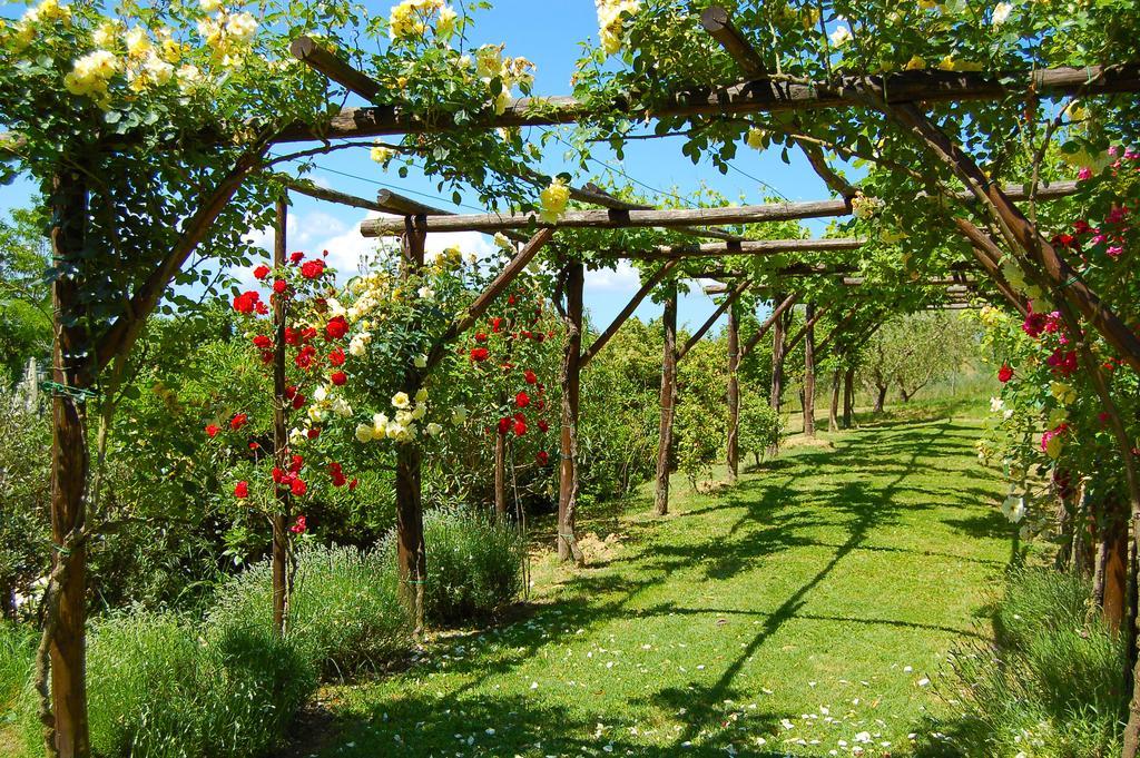 Farm stay Agriturismo Casale Dei Frontini