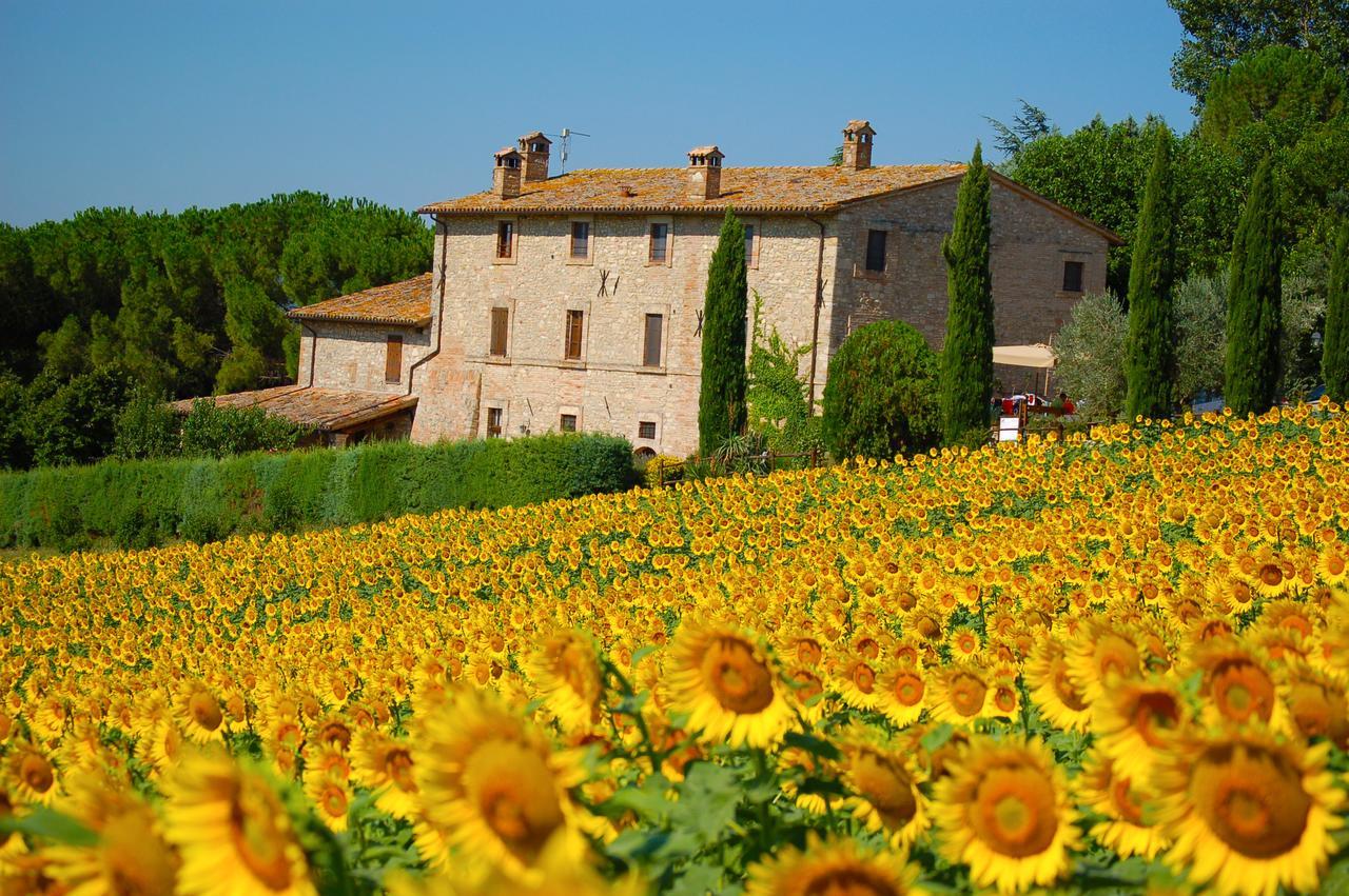 Agriturismo Casale Dei Frontini San Terenziano